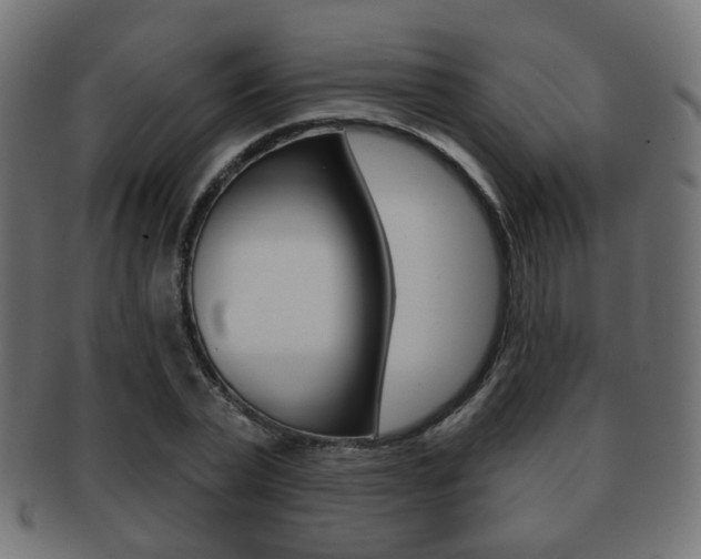 X0000091970783200709061131