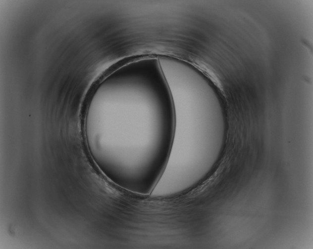 X0000091970784200709061131