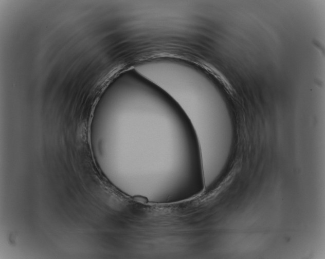 X0000091970785200709061131