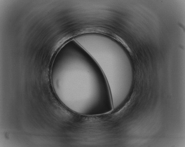X0000091970786200709061131