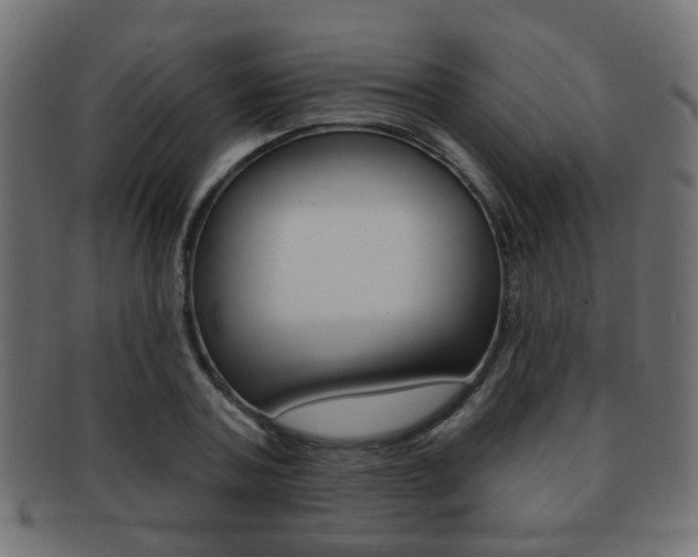 X0000091970787200709061131