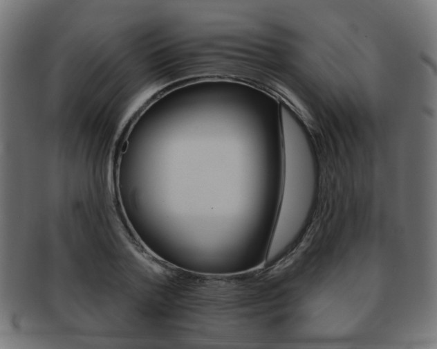 X0000091970788200709061131