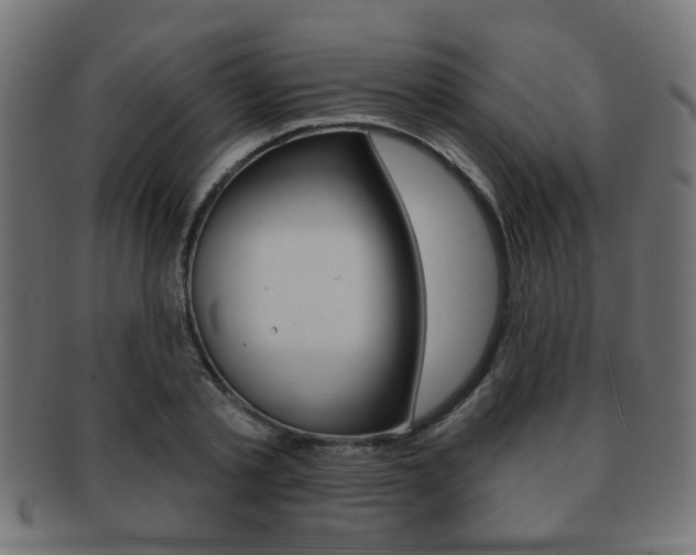 X0000091970789200709061131