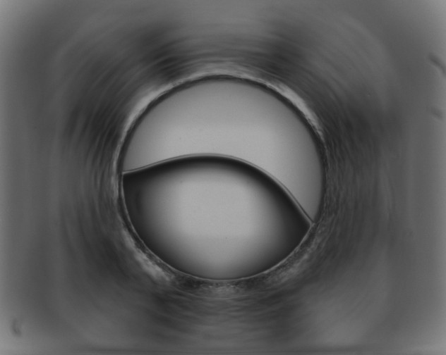 X0000091970791200709061131