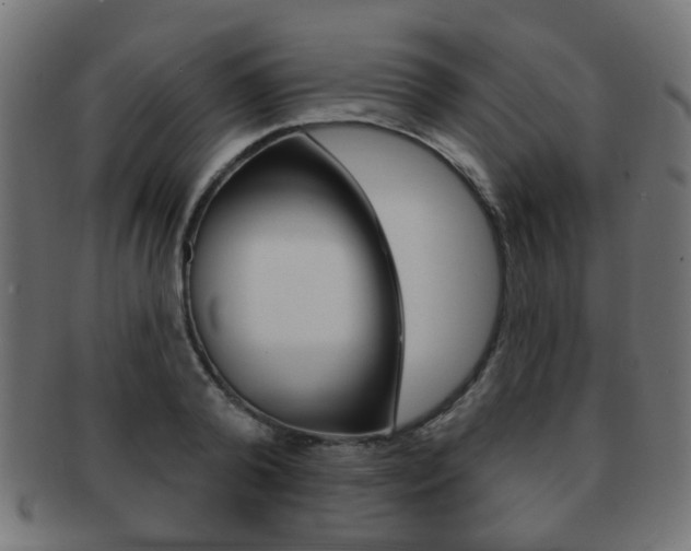 X0000091970792200709061131