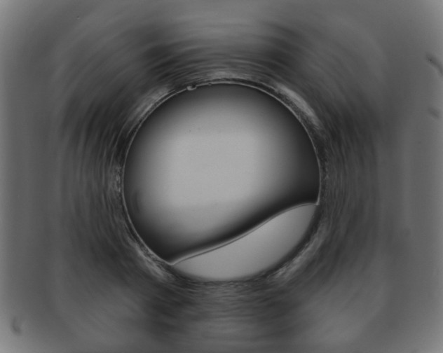 X0000091970793200709061131