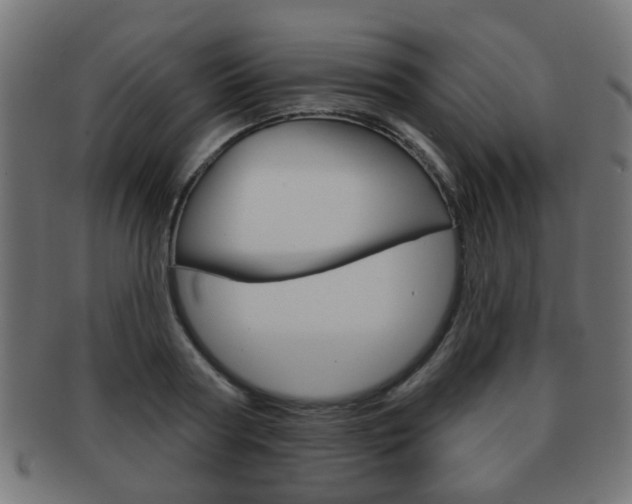 X0000091970794200709061131