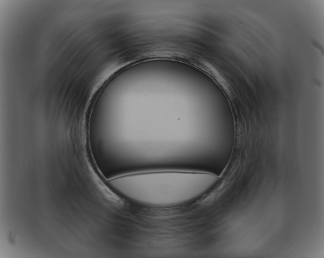 X0000091970795200709061131