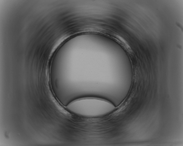 X0000091970796200709061131