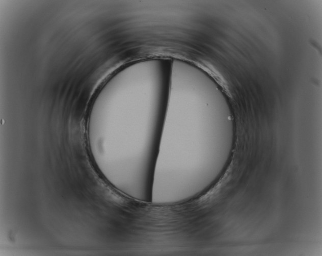 X0000091970798200709061131