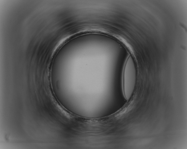 X0000091970799200709061131