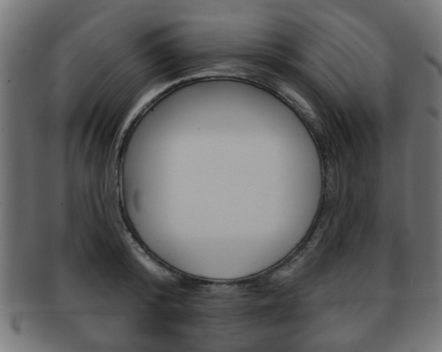 X0000091970800200709061131