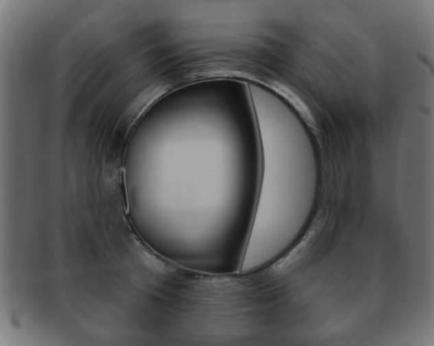 X0000091970801200709061130