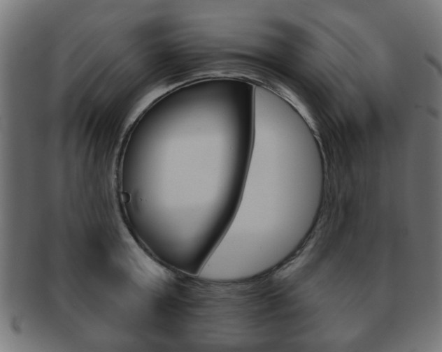 X0000091970803200709061130