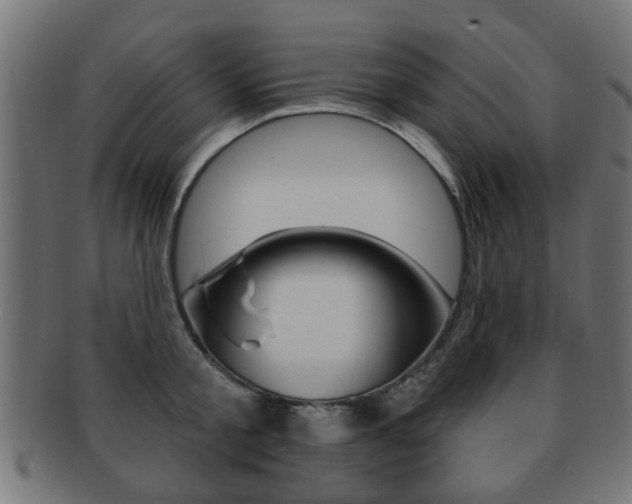 X0000091970805200709061130