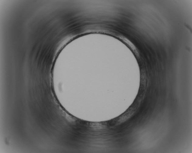 X0000091970807200709061130