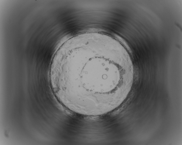 X0000091970810200709061130