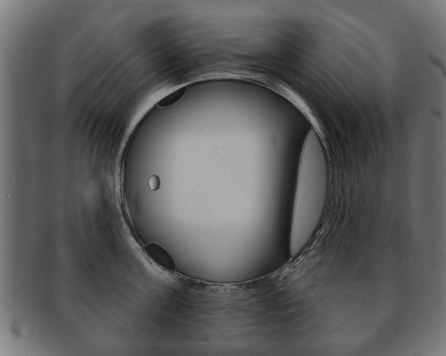 X0000091970811200709061130