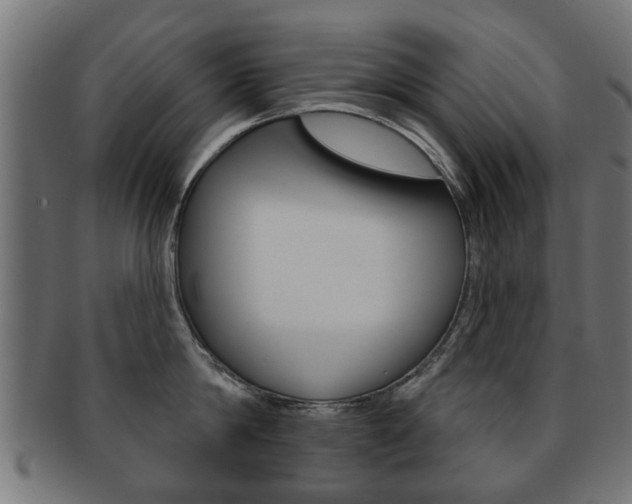 X0000091970814200709061130