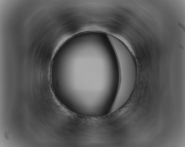X0000091970815200709061130
