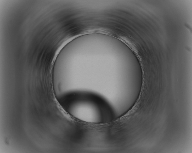 X0000091970816200709061130