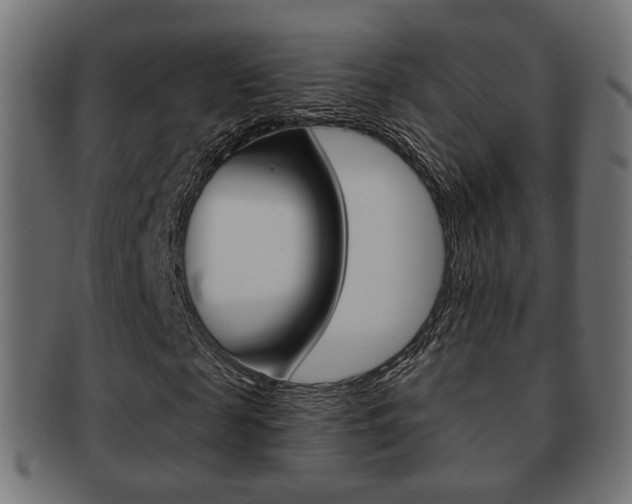 X0000091970817200709061130
