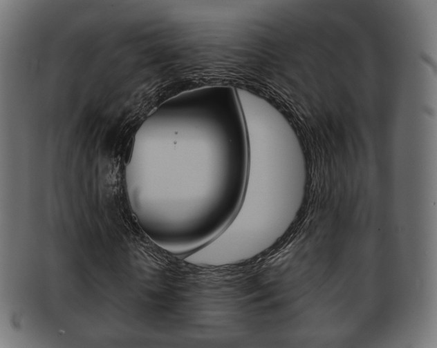 X0000091970818200709061130