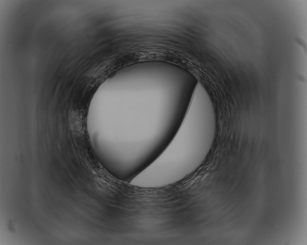 X0000091970819200709061130