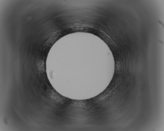 X0000091970820200709061130