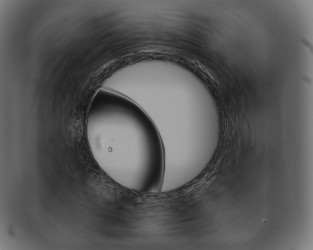 X0000091970821200709061130