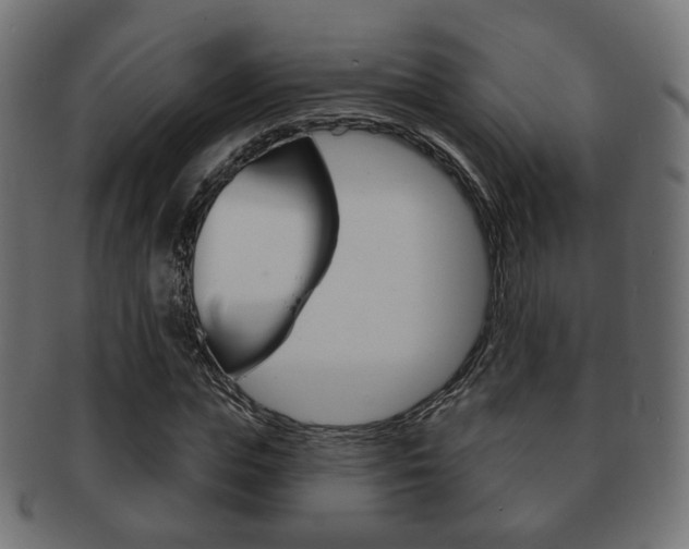 X0000091970823200709061130