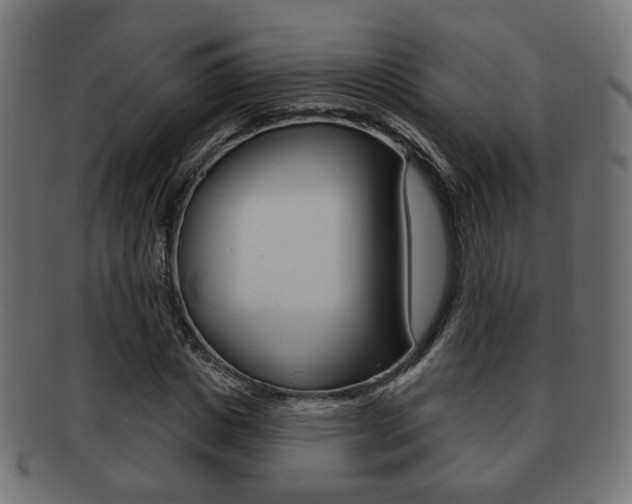 X0000091970825200709061130
