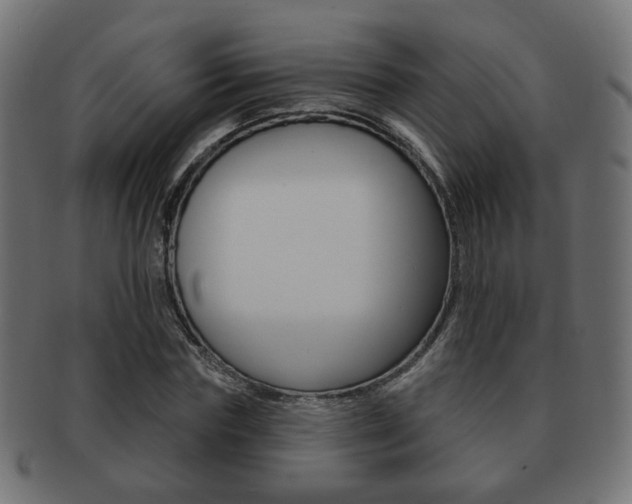 X0000091970827200709061130