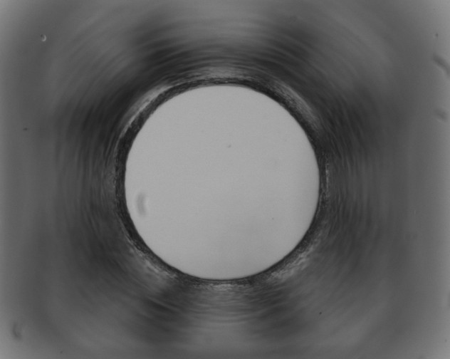 X0000091970828200709061130