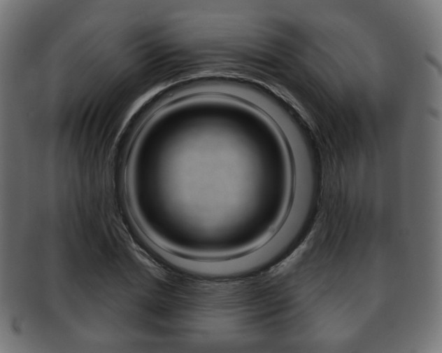 X0000091970830200709061130