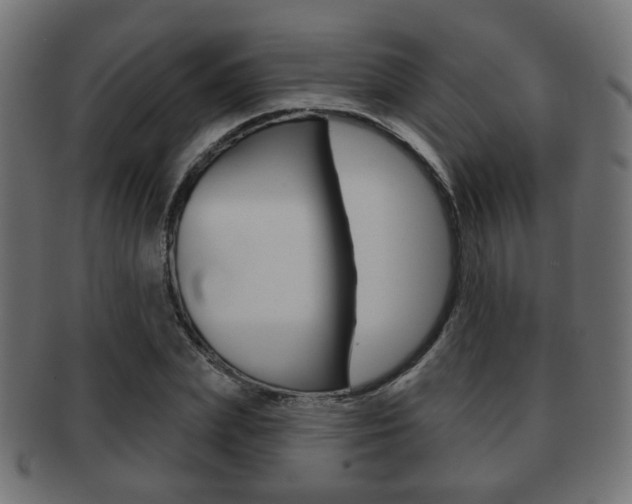 X0000091970831200709061130