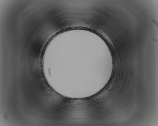 X0000091970832200709061130