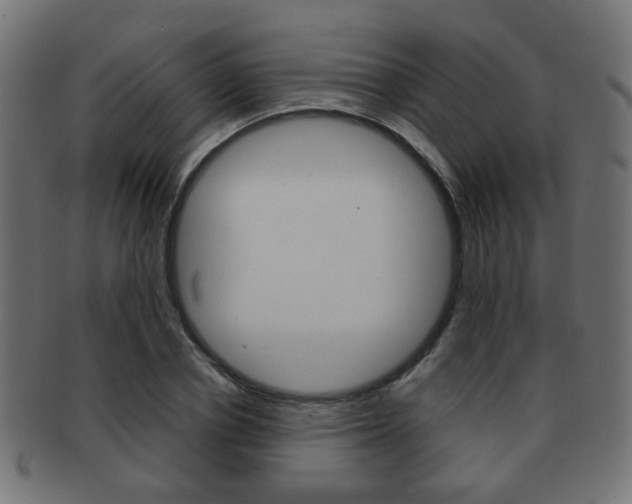 X0000091970834200709061130
