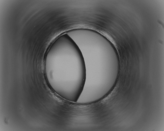 X0000091970839200709061130