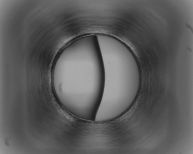 X0000091970840200709061130