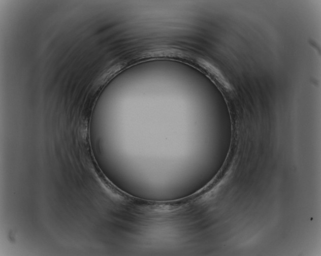 X0000091970841200709061130