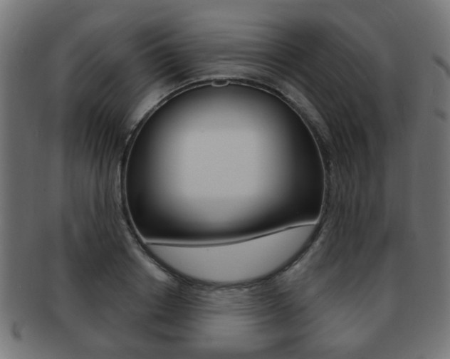 X0000091970842200709061130