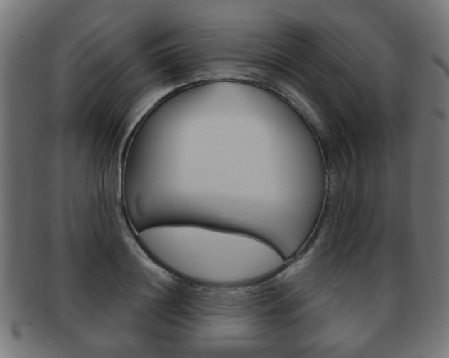 X0000091970844200709061130
