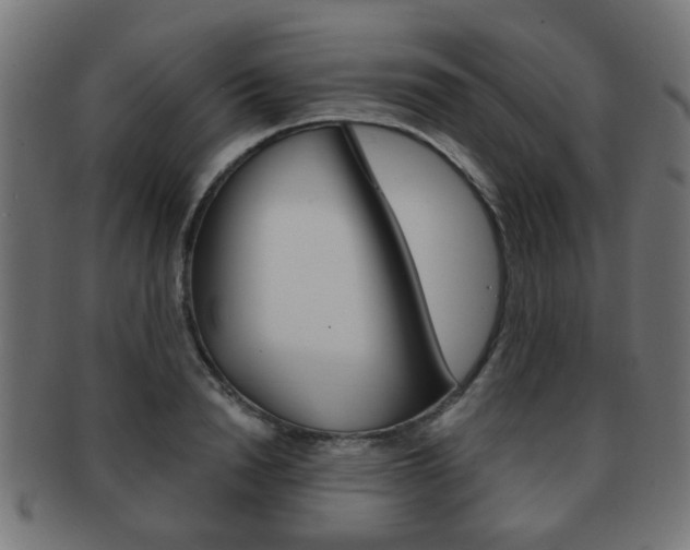 X0000091970846200709061130