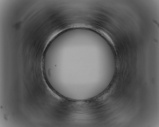 X0000091970847200709061130