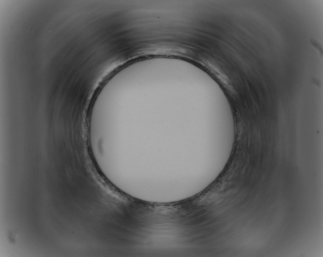 X0000091970848200709061130