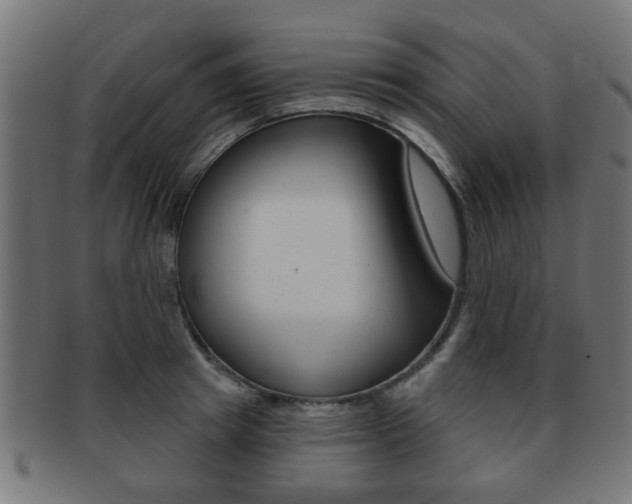 X0000091970849200709061130