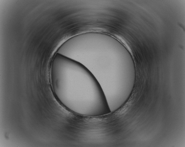 X0000091970851200709061130