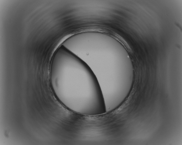 X0000091970852200709061130