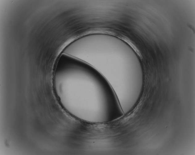 X0000091970853200709061130